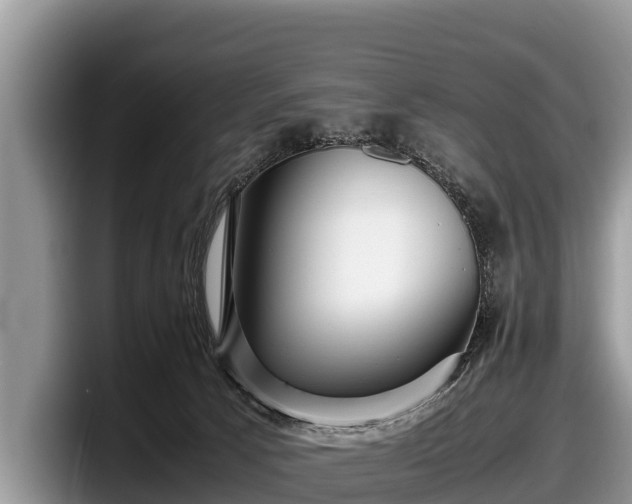 X0000097880033200803211343