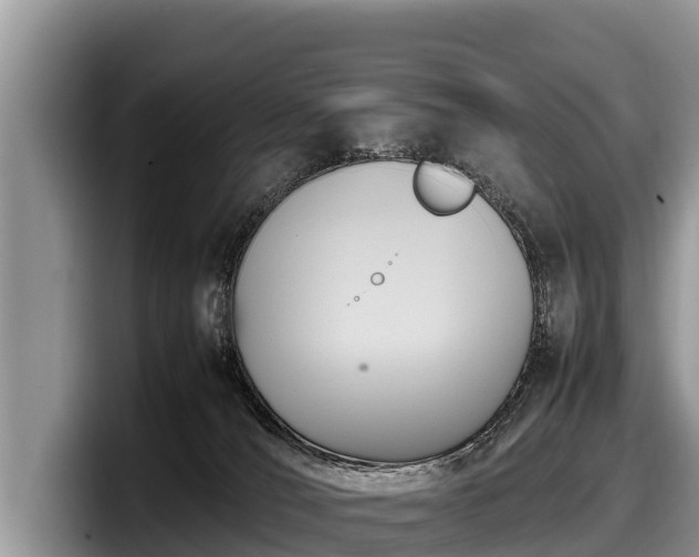 X0000097880036200803211343