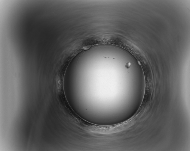 X0000097880037200803211343