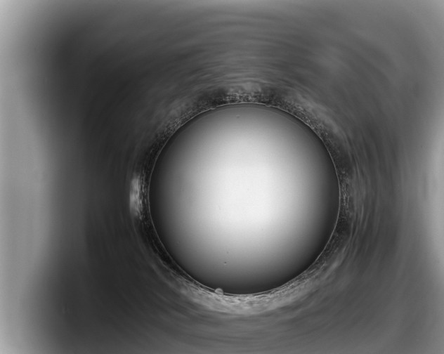 X0000097880038200803211343