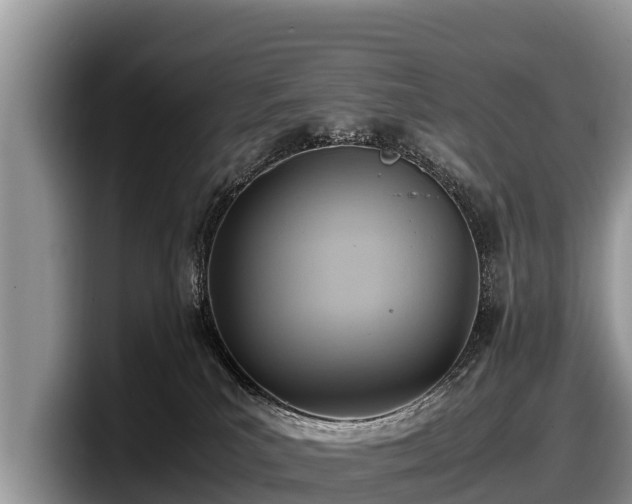 X0000097880039200803211343