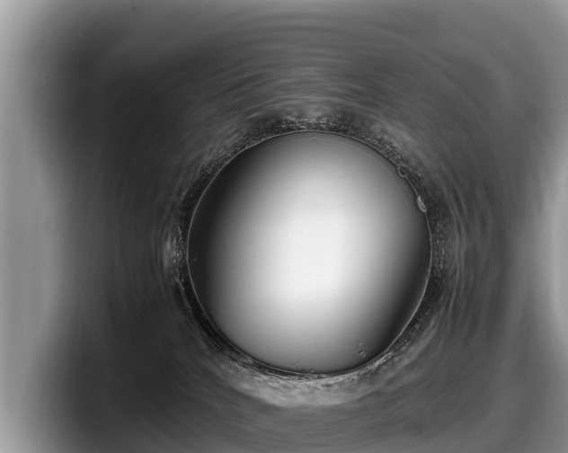 X0000097880040200803211343