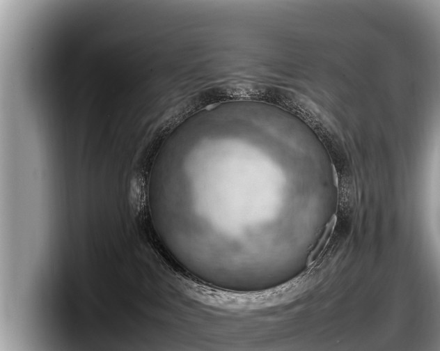 X0000097880043200803211343