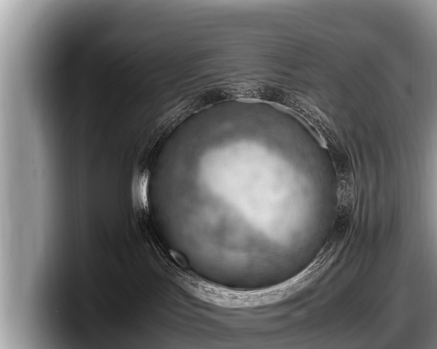 X0000097880047200803211343