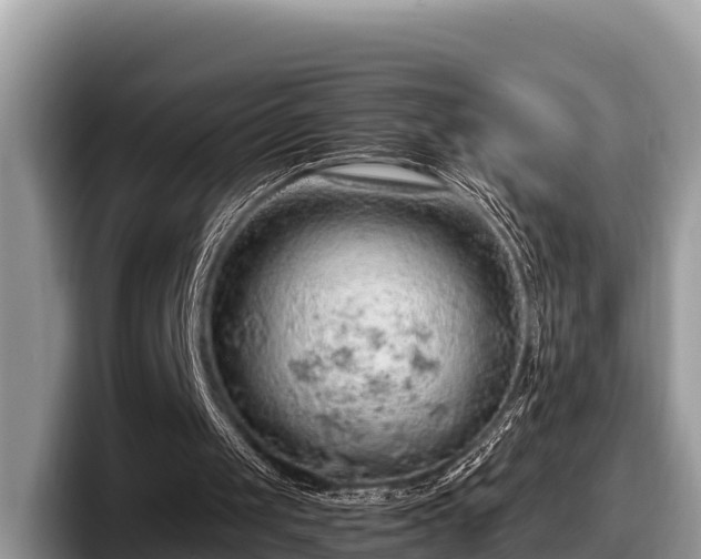 X0000097880049200803211342