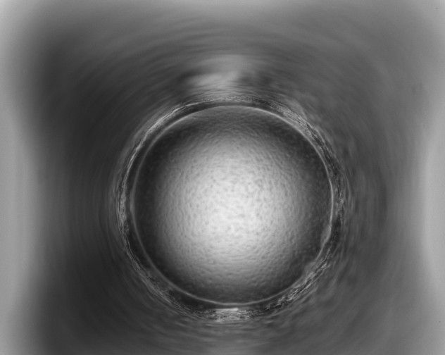 X0000097880050200803211342