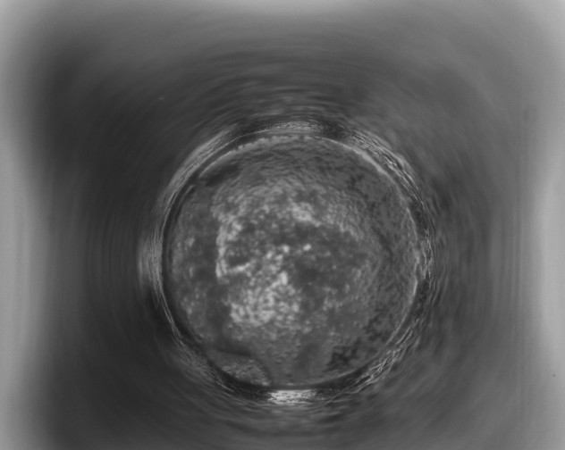 X0000097880051200803211342