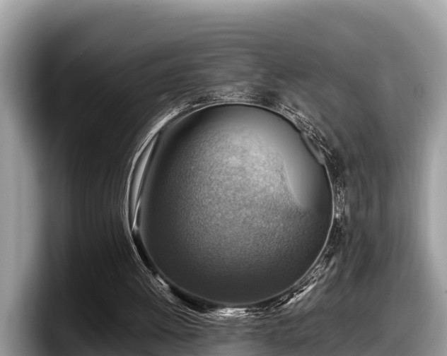 X0000097880052200803211342