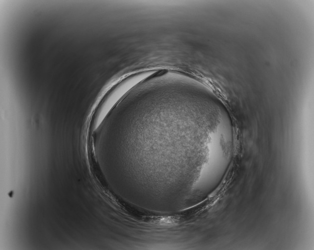 X0000097880056200803211342