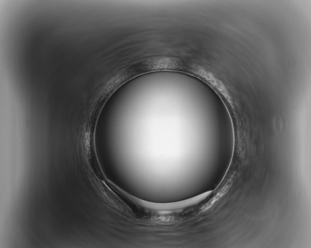 X0000097880057200803211342