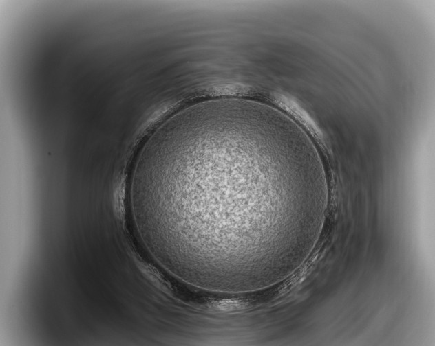 X0000097880058200803211342