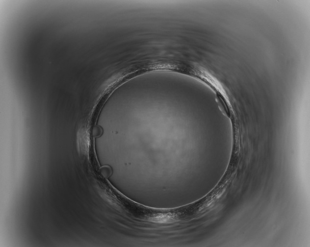 X0000097880059200803211342