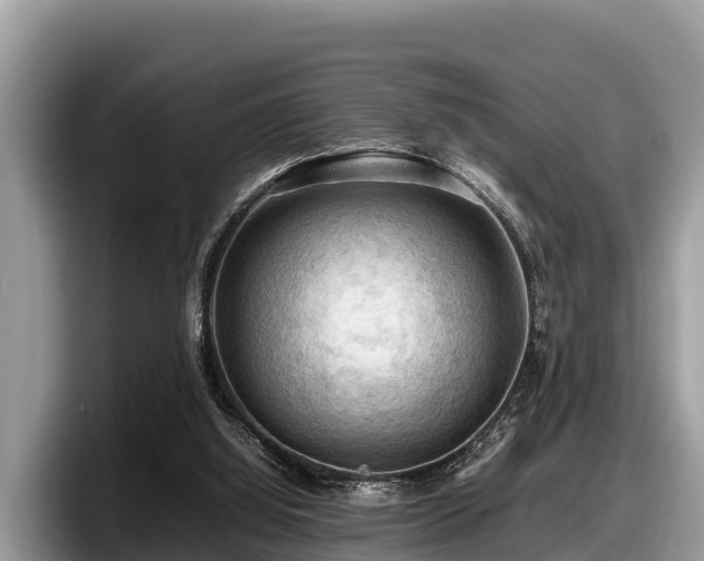 X0000097880060200803211342