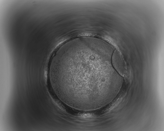 X0000097880063200803211342