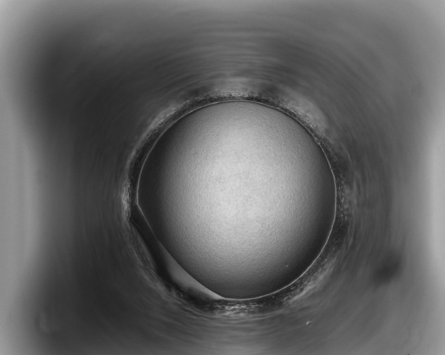 X0000097880064200803211342