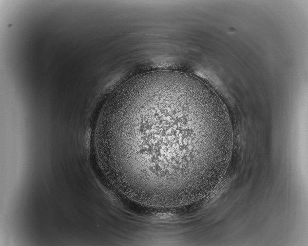 X0000097880066200803211342