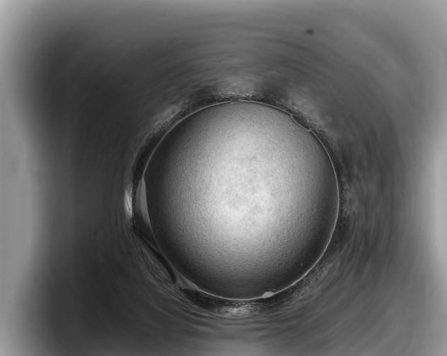 X0000097880068200803211342