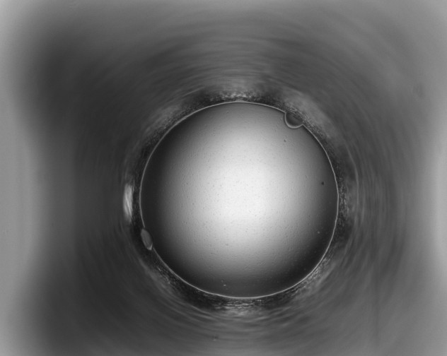 X0000097880070200803211342