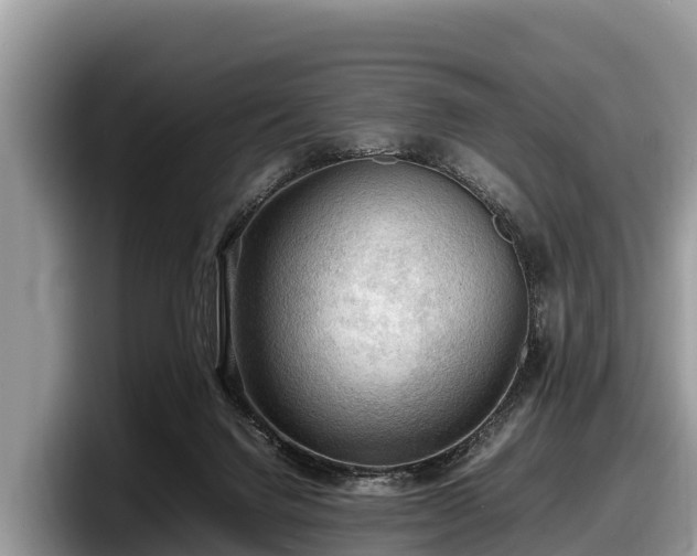 X0000097880072200803211342