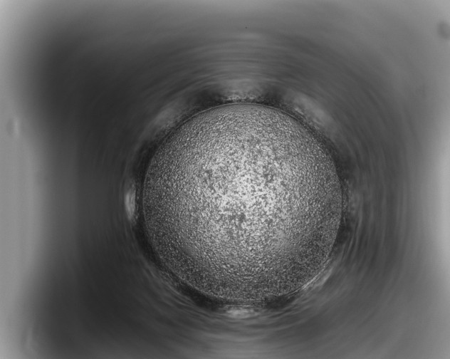 X0000097880074200803211342