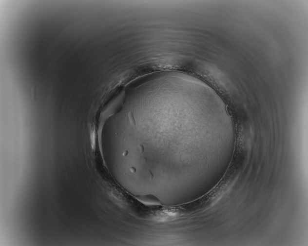 X0000097880076200803211342