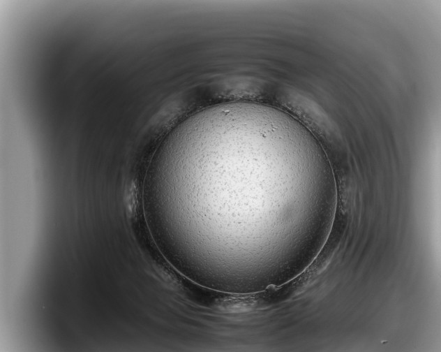 X0000097880077200803211342