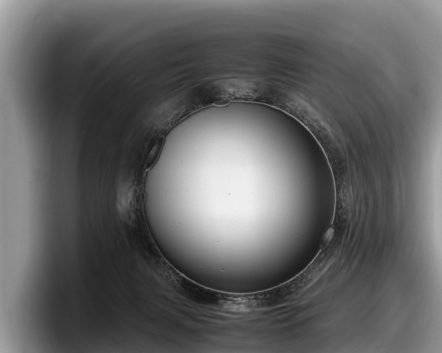 X0000097880079200803211343