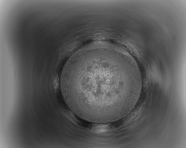 X0000097880081200803211343