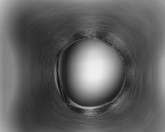 X0000097880088200803211343