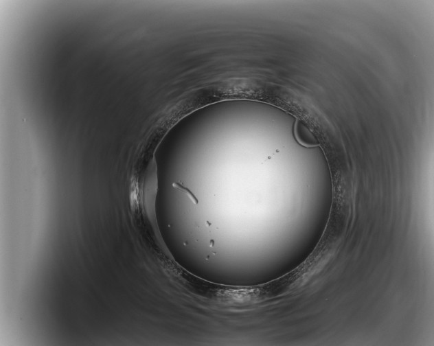 X0000097880089200803211343