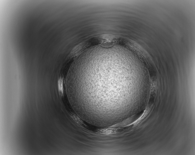 X0000097880094200803211343