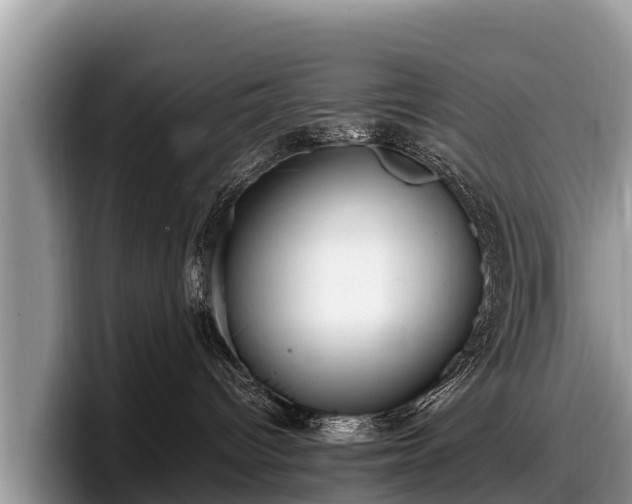 X0000097880096200803211343