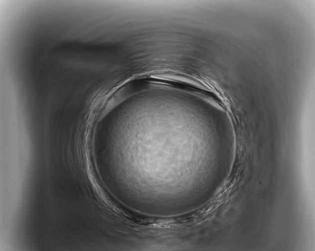 X0000097880097200803211342