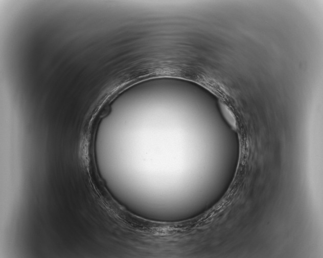 X0000097880098200803211342