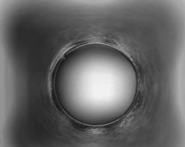 X0000097880103200803211342