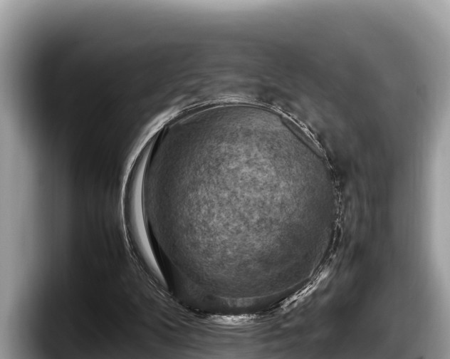 X0000097880104200803211342