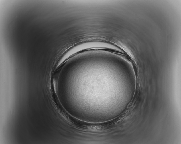 X0000097880105200803211342