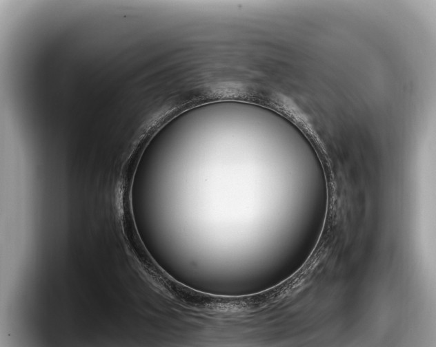 X0000097880106200803211342