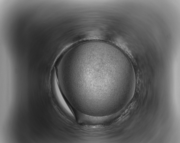 X0000097880108200803211342