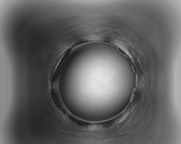 X0000097880109200803211342