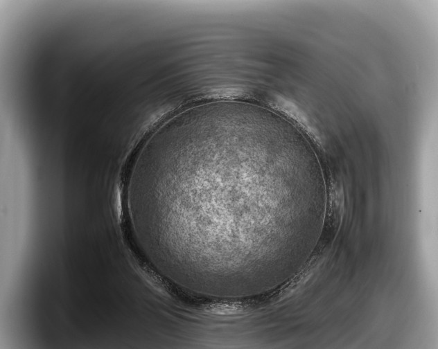 X0000097880110200803211342