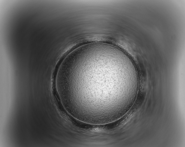 X0000097880111200803211342