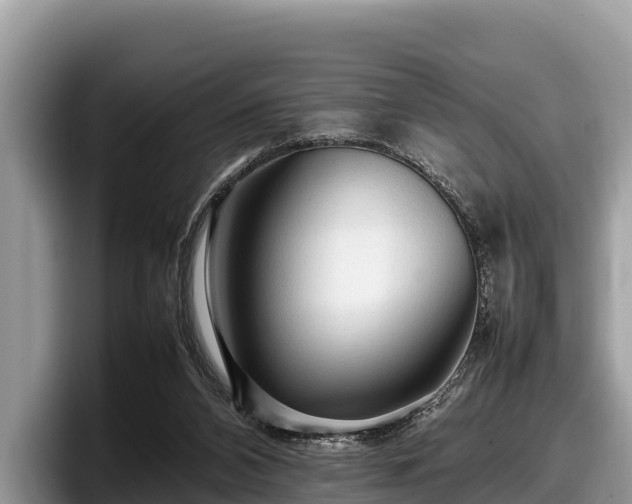 X0000097880112200803211342