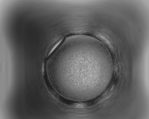 X0000097880115200803211342