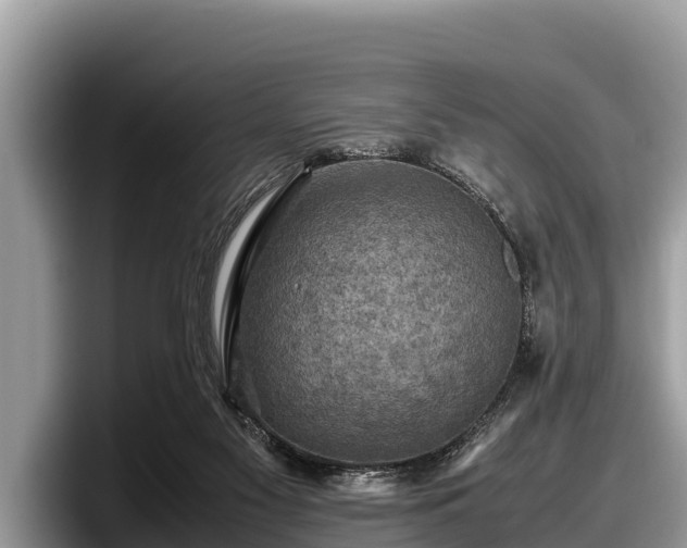 X0000097880117200803211342