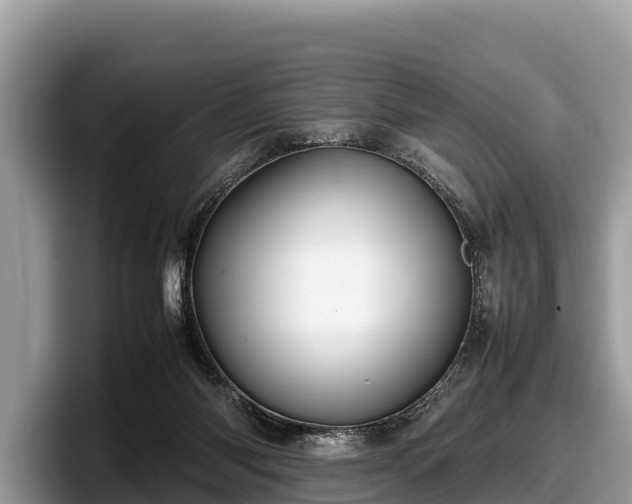 X0000097880118200803211342