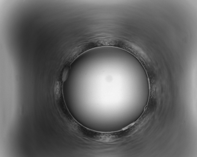 X0000097880121200803211342