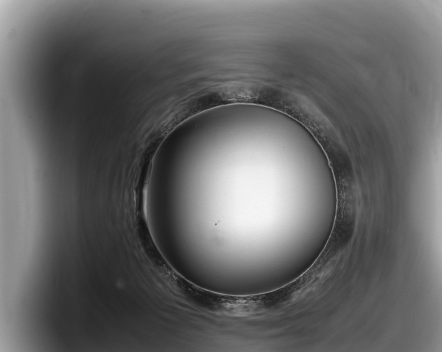 X0000097880125200803211342
