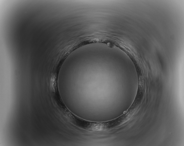 X0000097880127200803211342