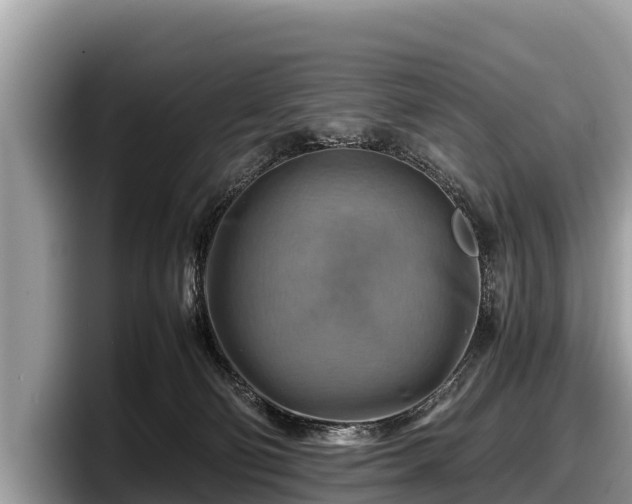 X0000097880130200803211342